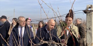 Ръководителят на винарската изба на Аграрния стана Цар на лозята